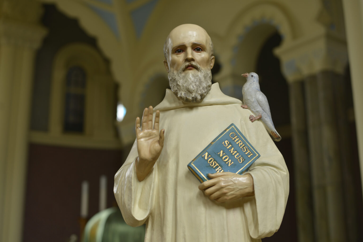 St Columban More An Eagle Than A Dove Columban Missionaries
