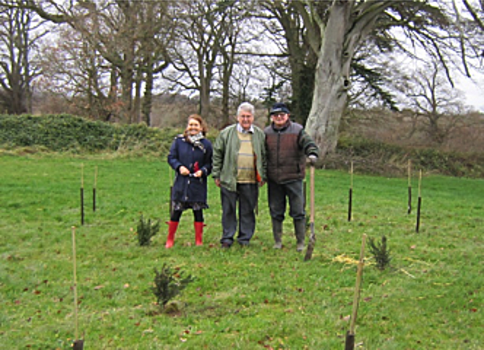 100 native Irish trees planted in the grounds of Dalgan