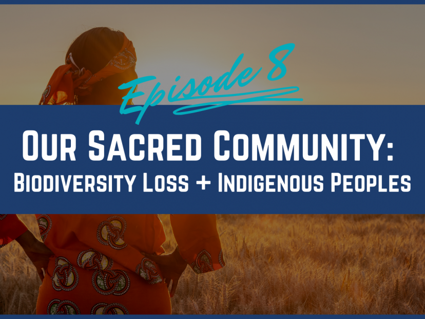 Our Sacred Community: Biodiversity Loss + Indigenous Peoples | Jubilee for the Earth