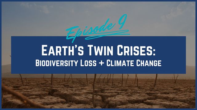 Jubilee for the Earth | Earth’s Twin Crises: Biodiversity Loss + Climate Change