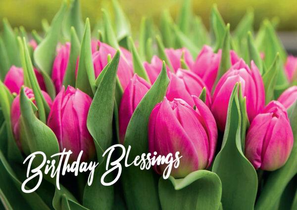 Birthday Card (Tulips)