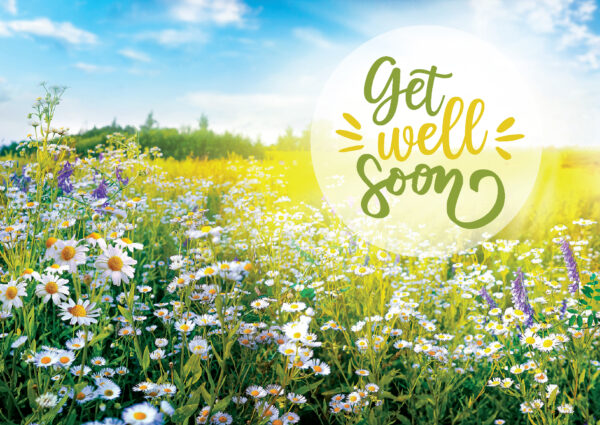 Get Well Soon (Daisies)