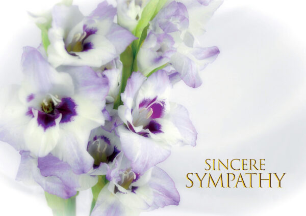 Sympathy (Lillies)