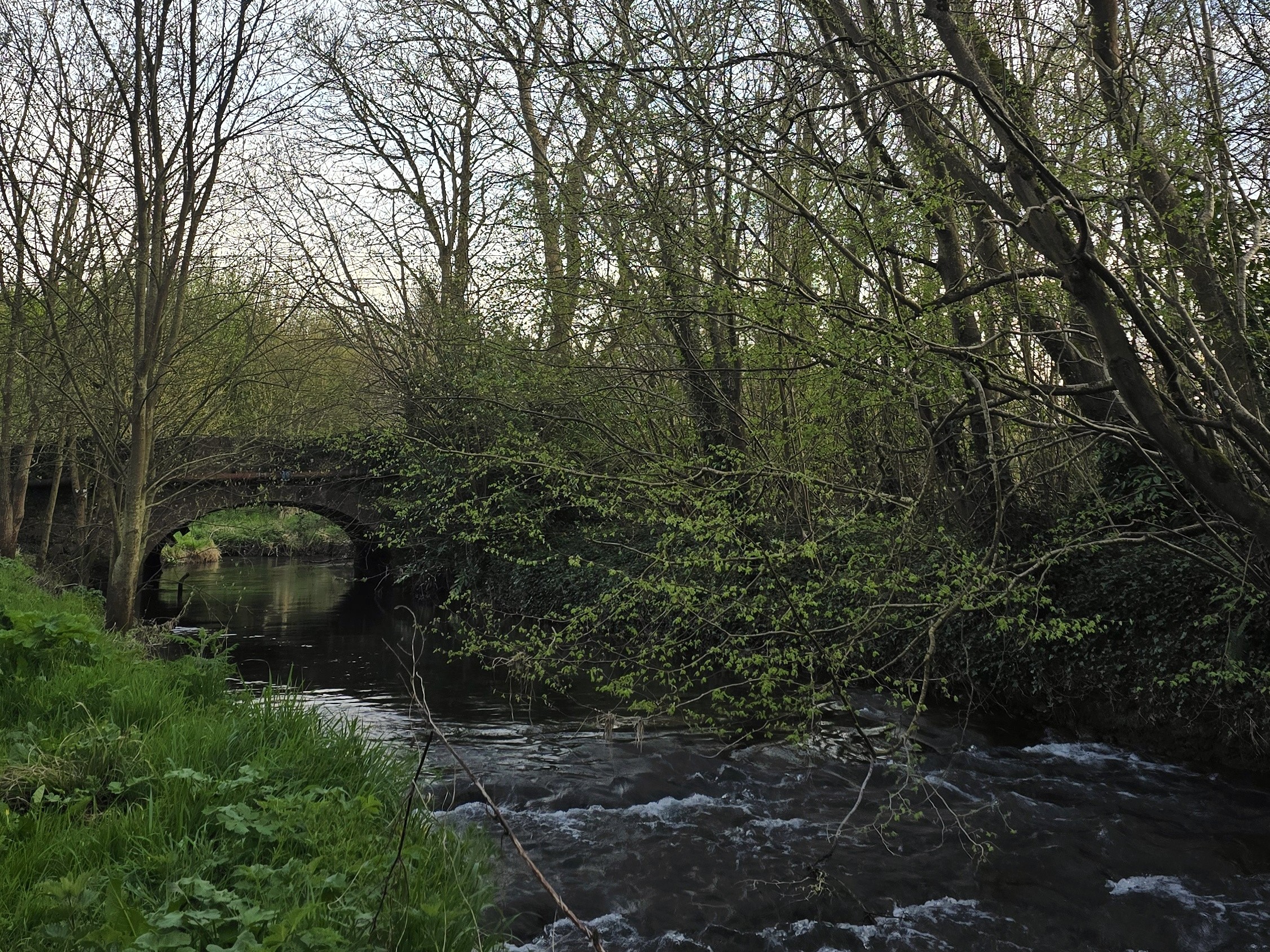 Grounds in Dalgan Open from 9am to 8pm