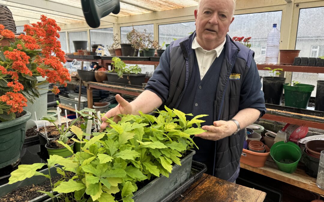 Earth Day Celebrated in Dalgan