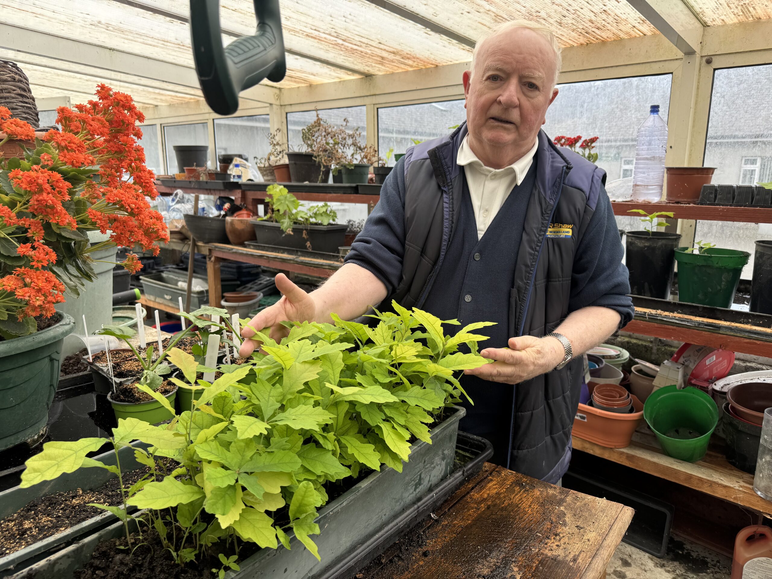 Earth Day Celebrated in Dalgan