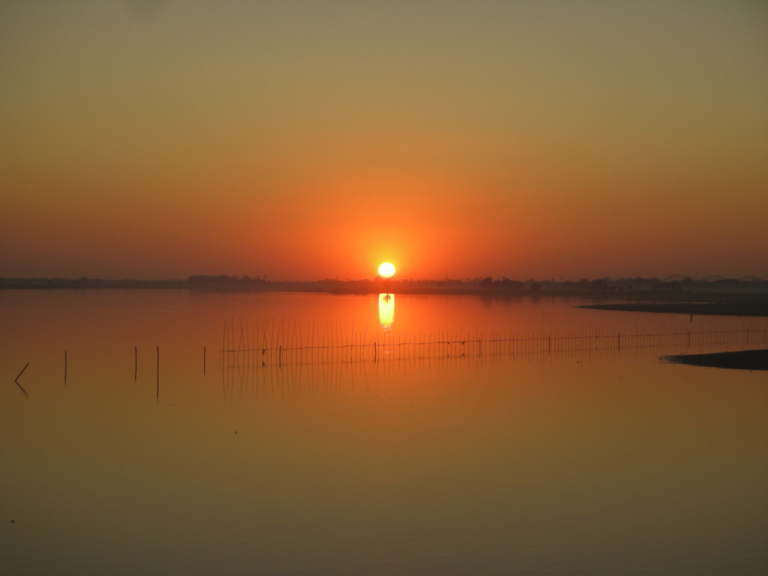 ‘You have turned my mourning into dancing’