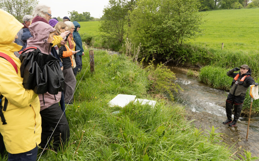 River Skane’s Biodiversity Under the Lens in Dalgan