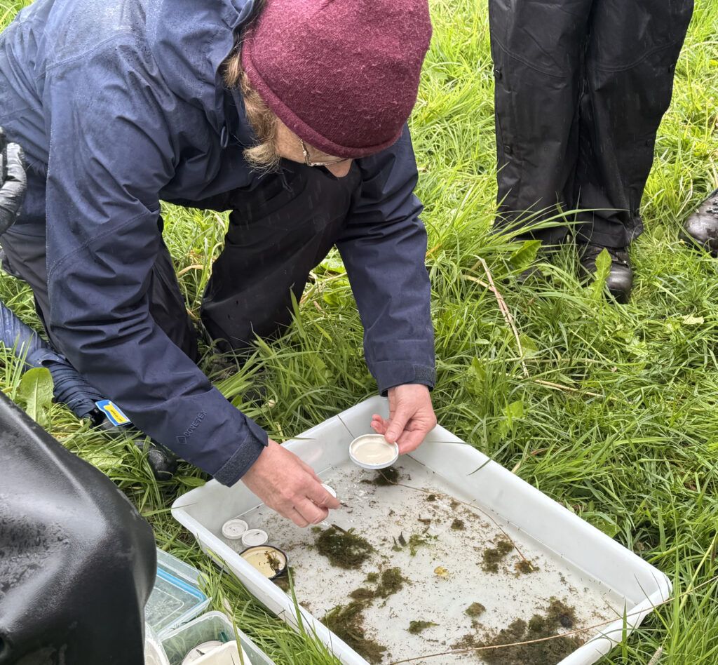 2 Bring me to the RiverJ - Columban Missionaries Researchers kneeling in tall grass, scooping muddy water into a tray with small sample cups nearby amid outdoor fieldwork.